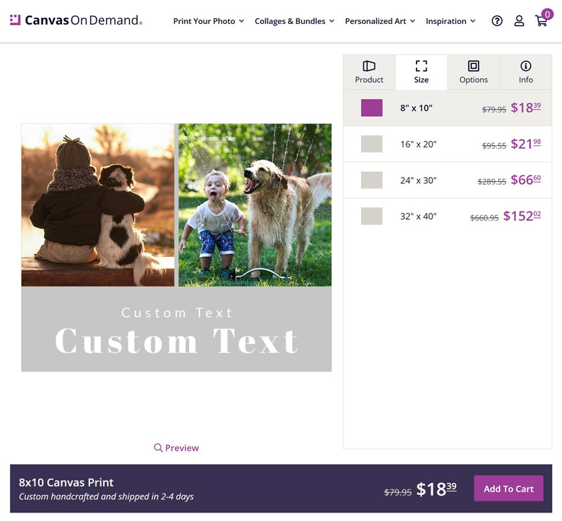 screenshot of canvasondemand.com's product builder featuring a custom template